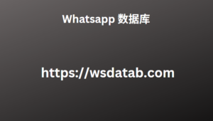 Whatsapp 数据库