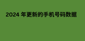 2024 年更新的手机号码数据 